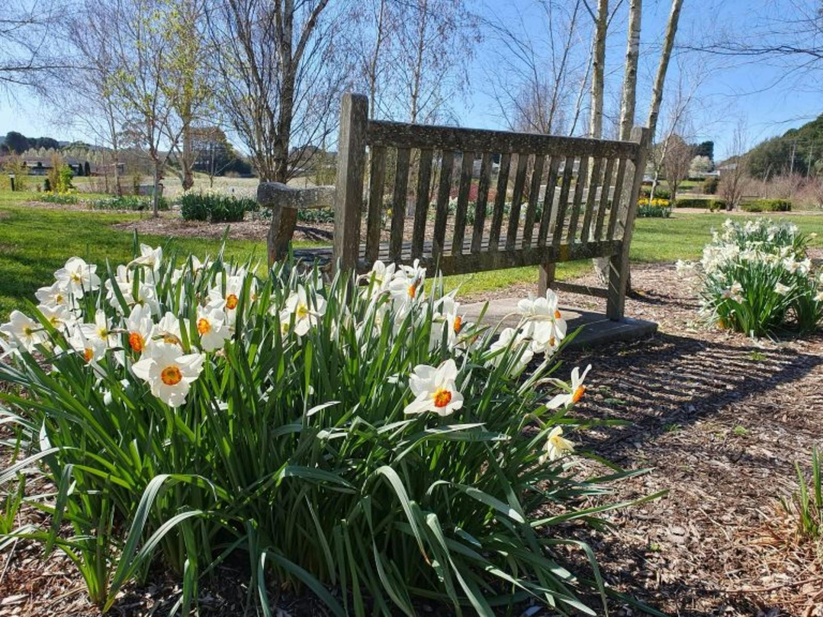 Southern Highlands Botanic Gardens 2