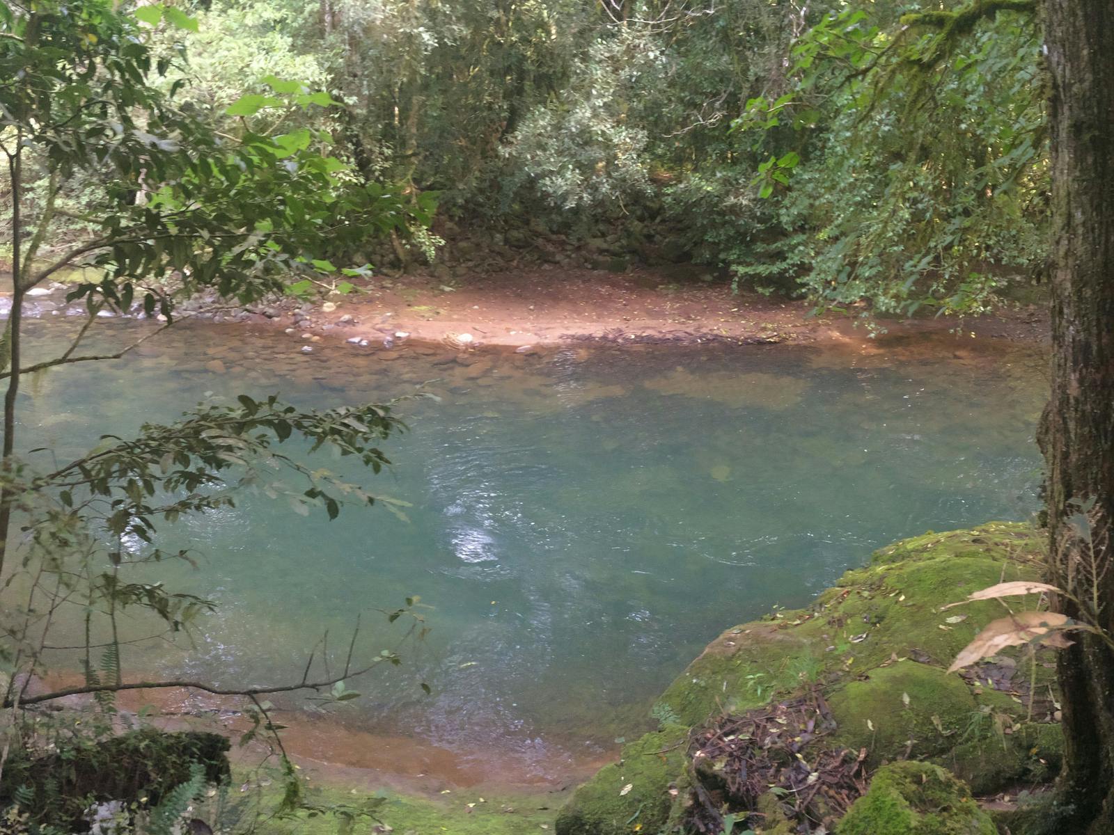 Allyn River, Chichester State Forest
