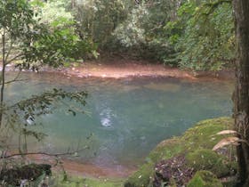 Allyn River, Chichester State Forest