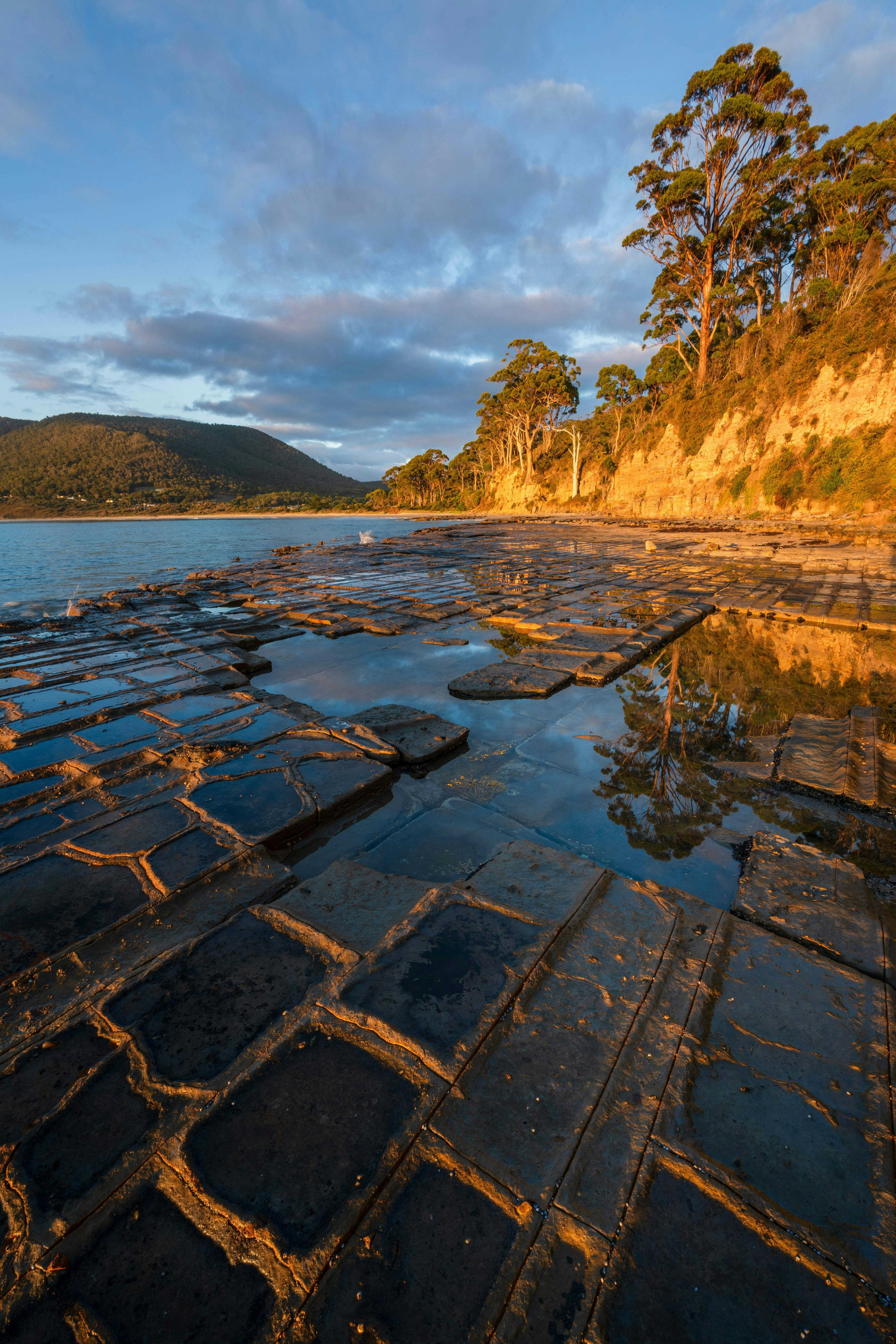Visit the Tessellated Pavement