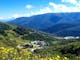 Alpine Crossing transfers, Hiking Transfers, Mt Hotham, high country hiking