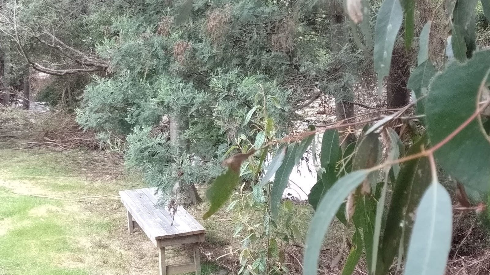 The river walk is short but pretty