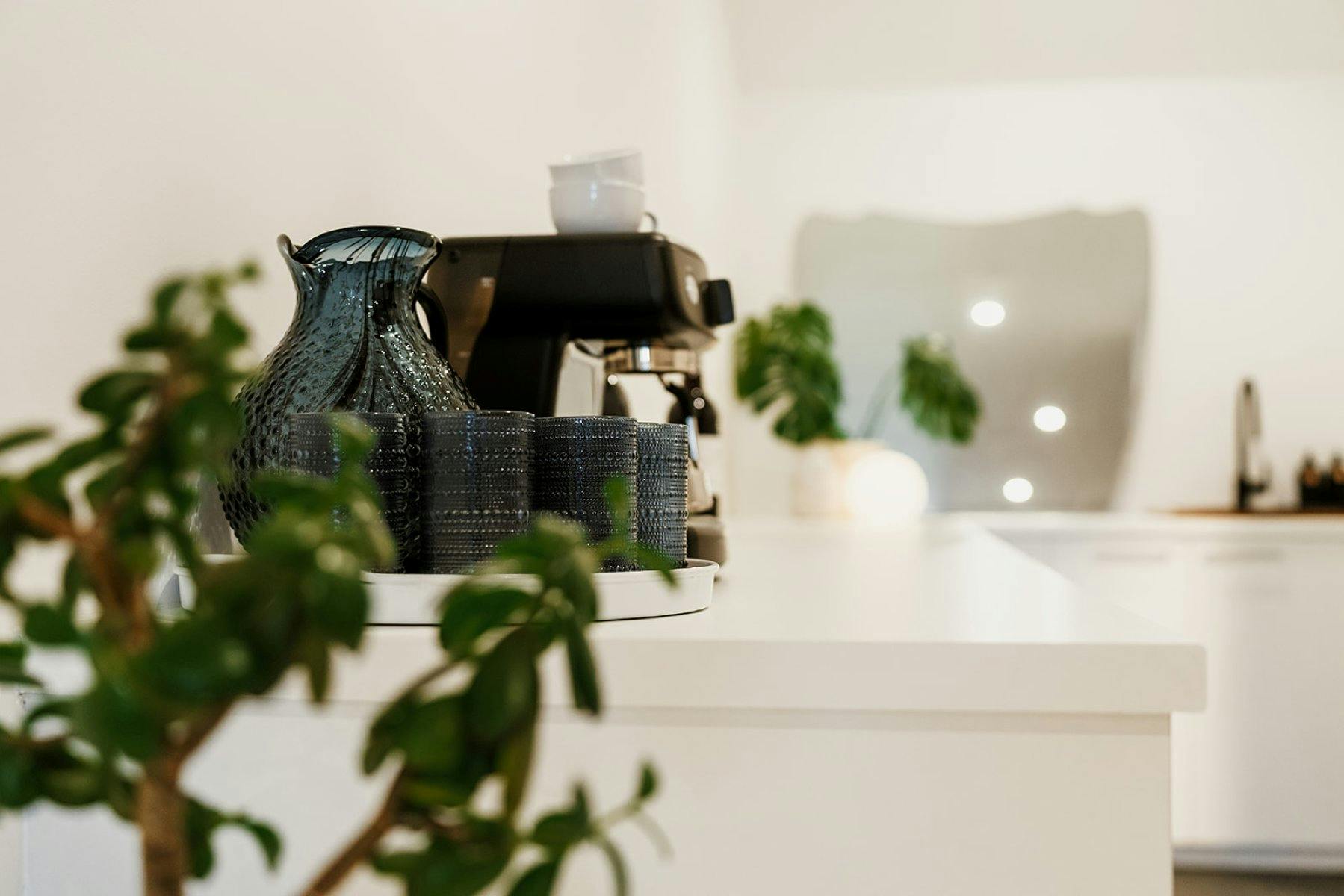 glassware, coffee machine and plants on a counter top