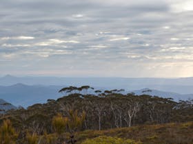 Mount Budawang trail
