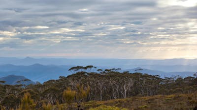 Mount Budawang trail