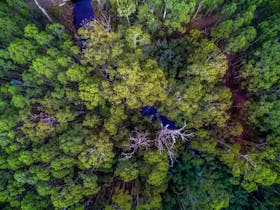 Saintys Creek Cottage: drone shot of Saintys Creek Cottage's private bush-land.