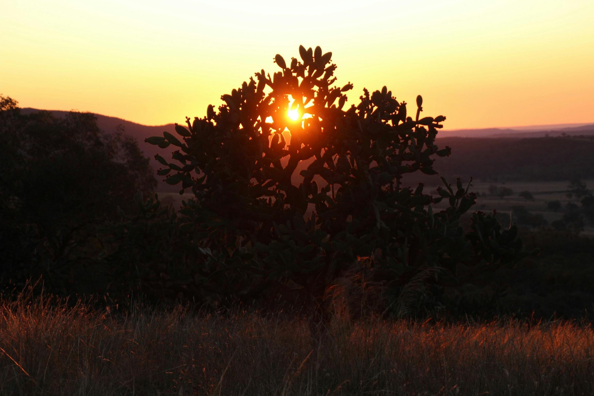 Breathtaking sunset at Verona Country Escape