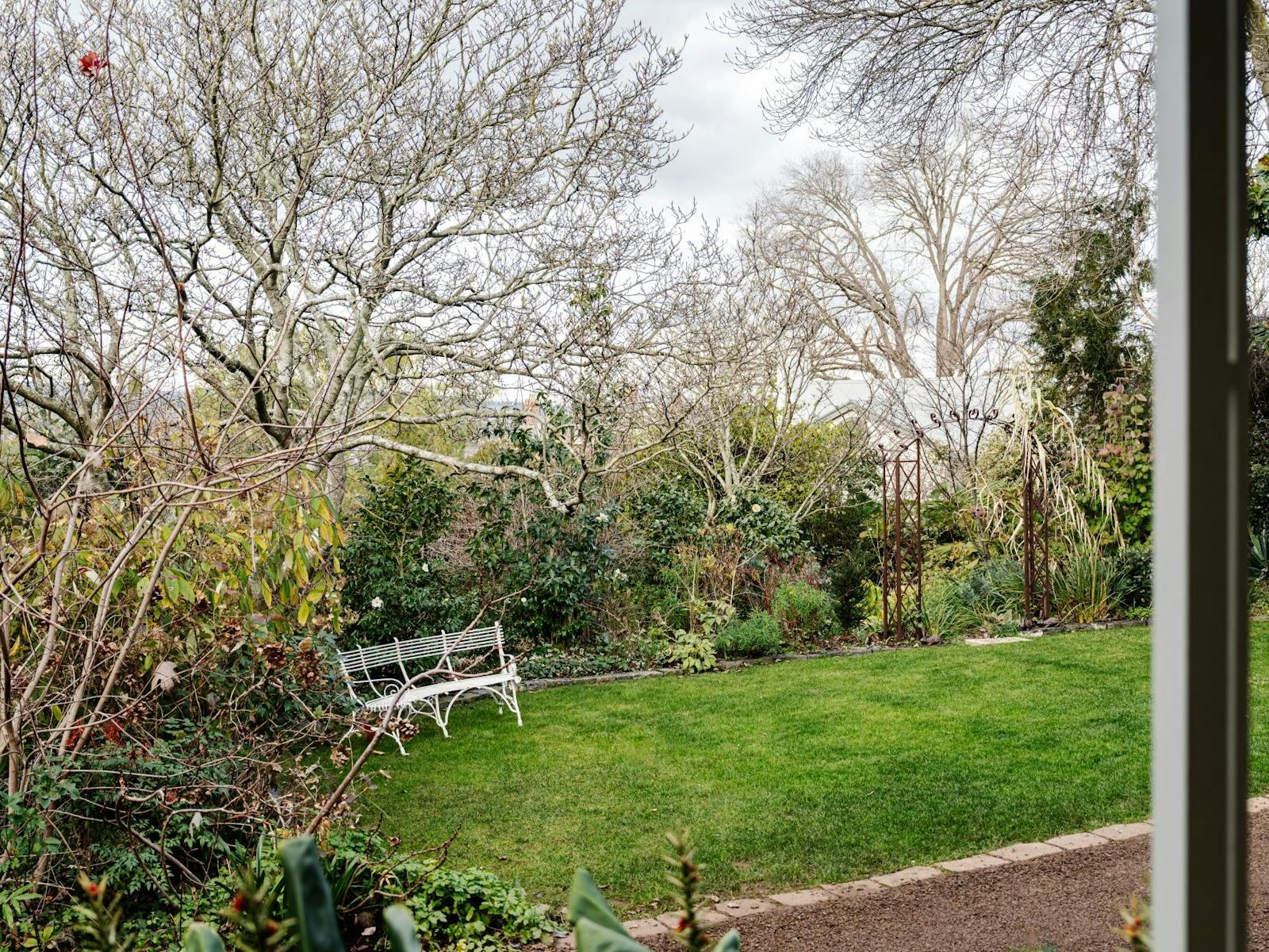 A green and lush lawn with a bench seat in an enclosed and private garden setting.