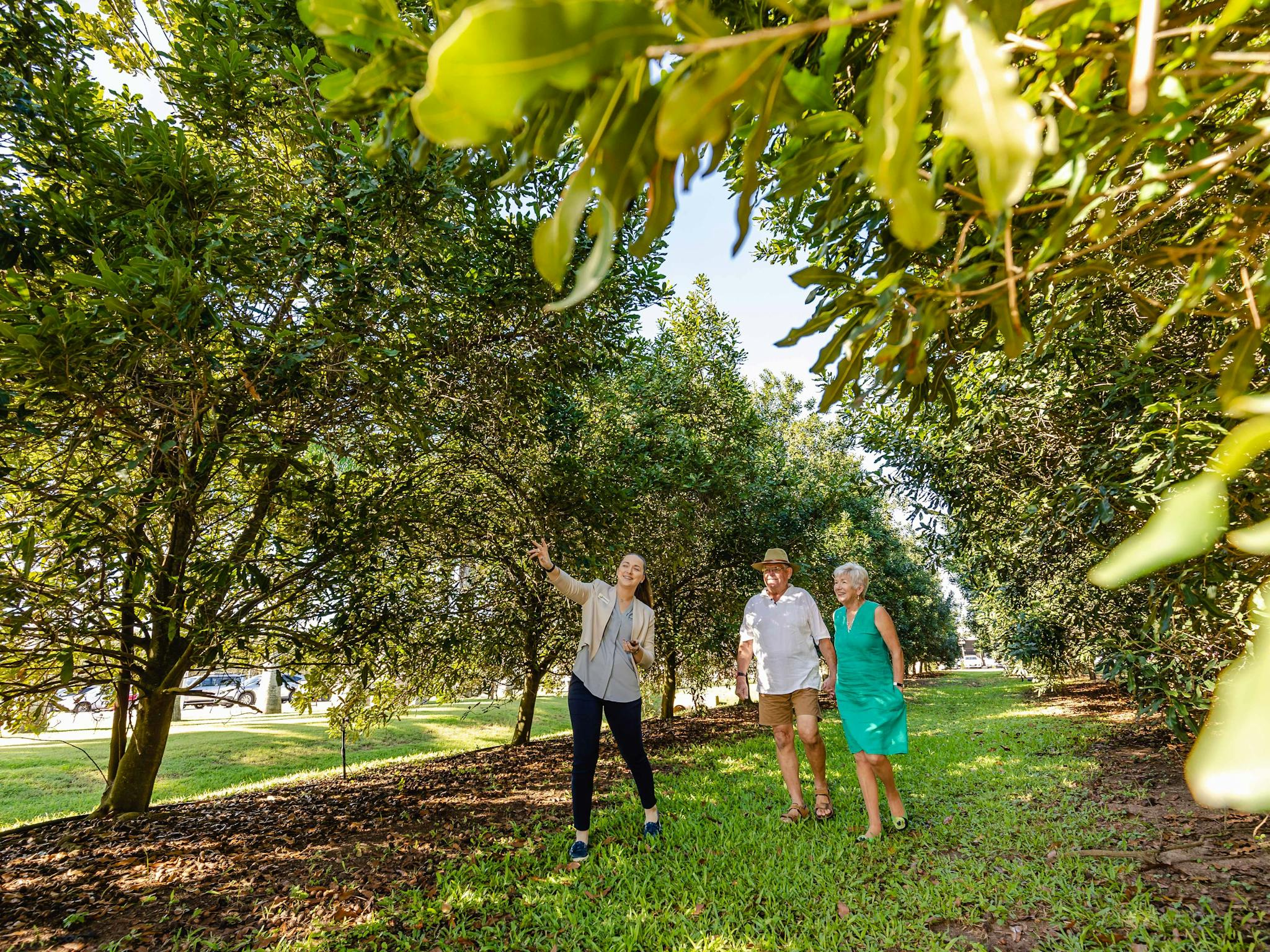 Macadamias Australia