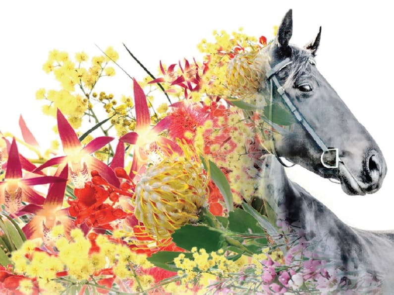 Image of the event 'Spring Carnivàle Day One'