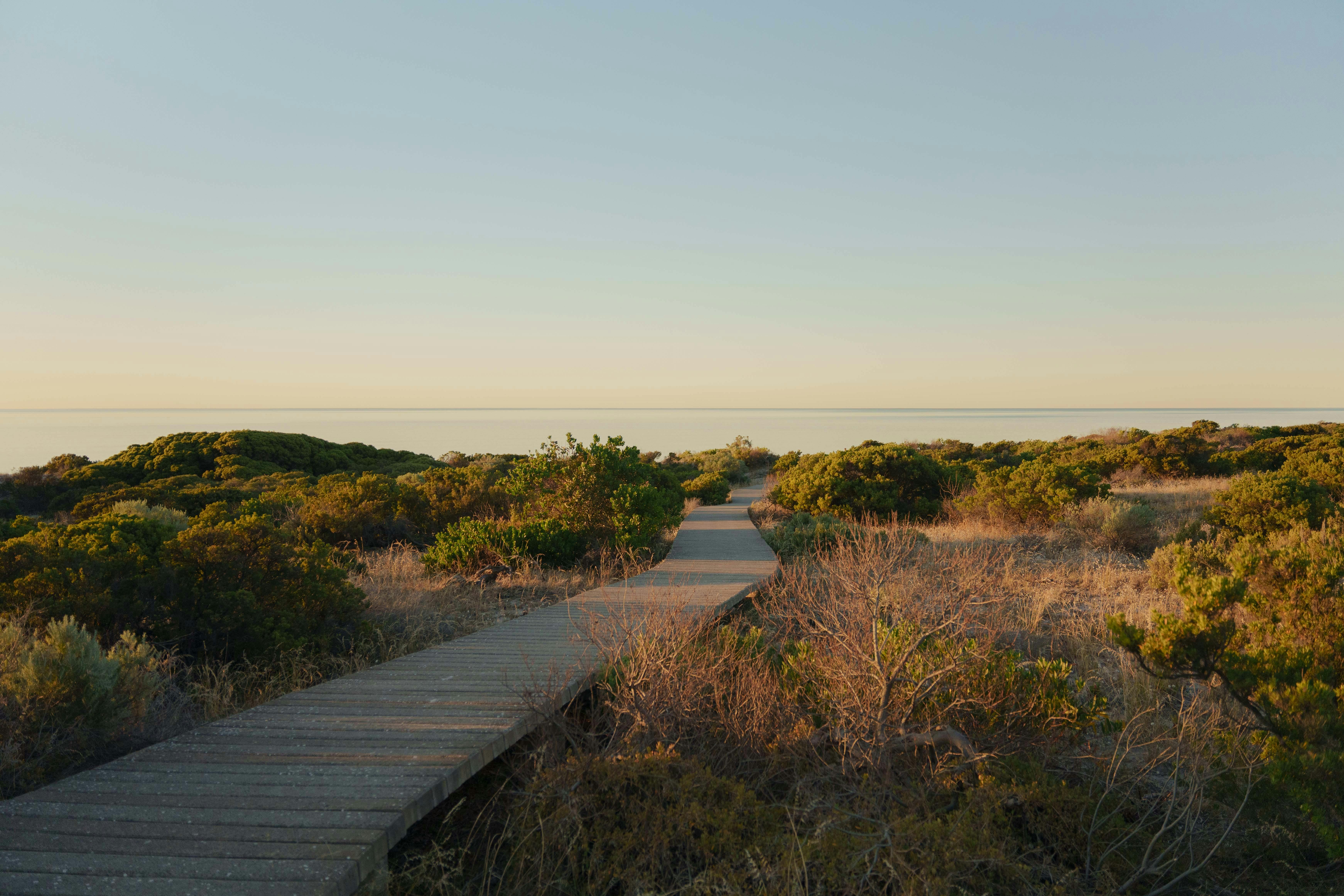 Access the beach on the South Shores private boardwalk