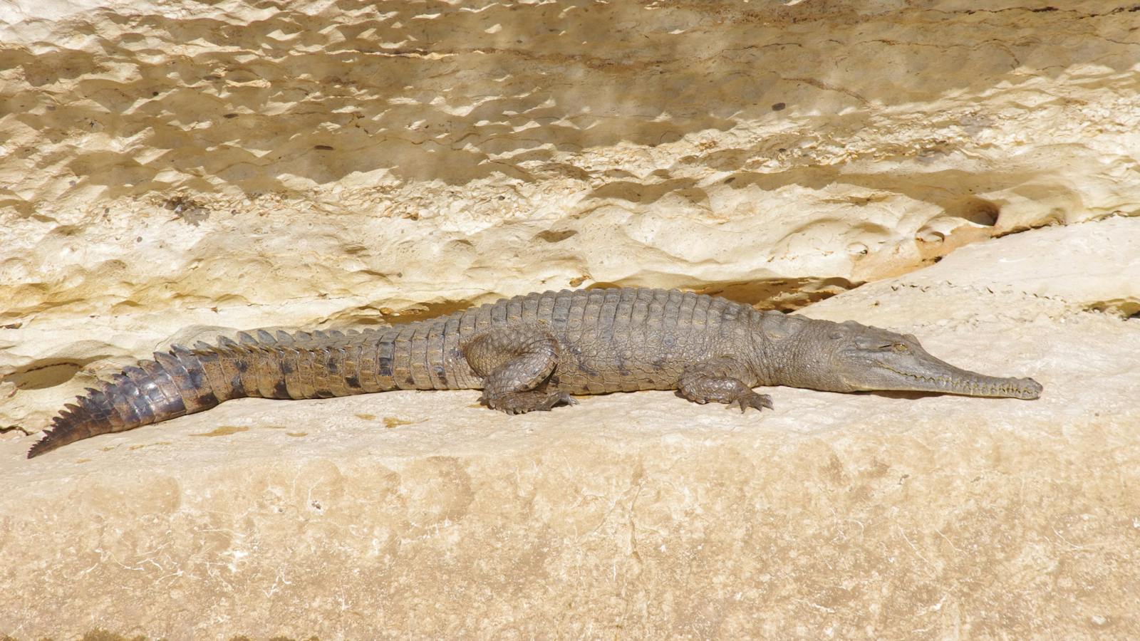 Adventure Wild Kimberley Tours