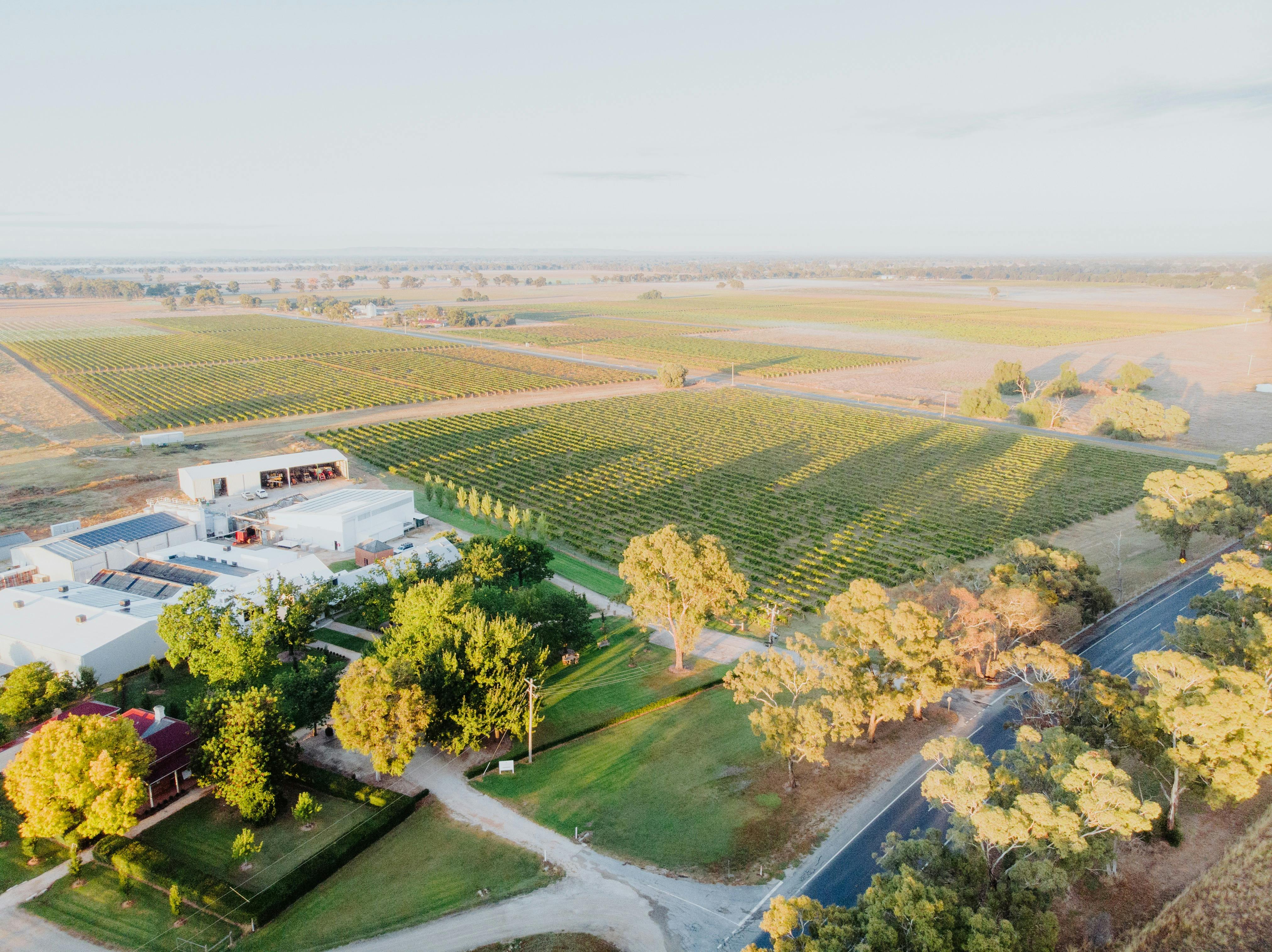 Campbells Wines of Rutherglen