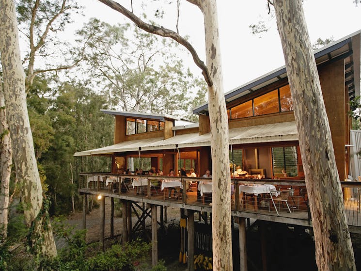 Outdoor dining at the Gunyah treetop dining room at Paperbark Camp Jervis Bay