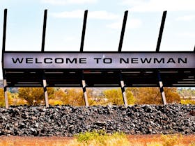 Newman image