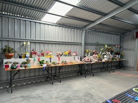 Port Fairy Annual Show