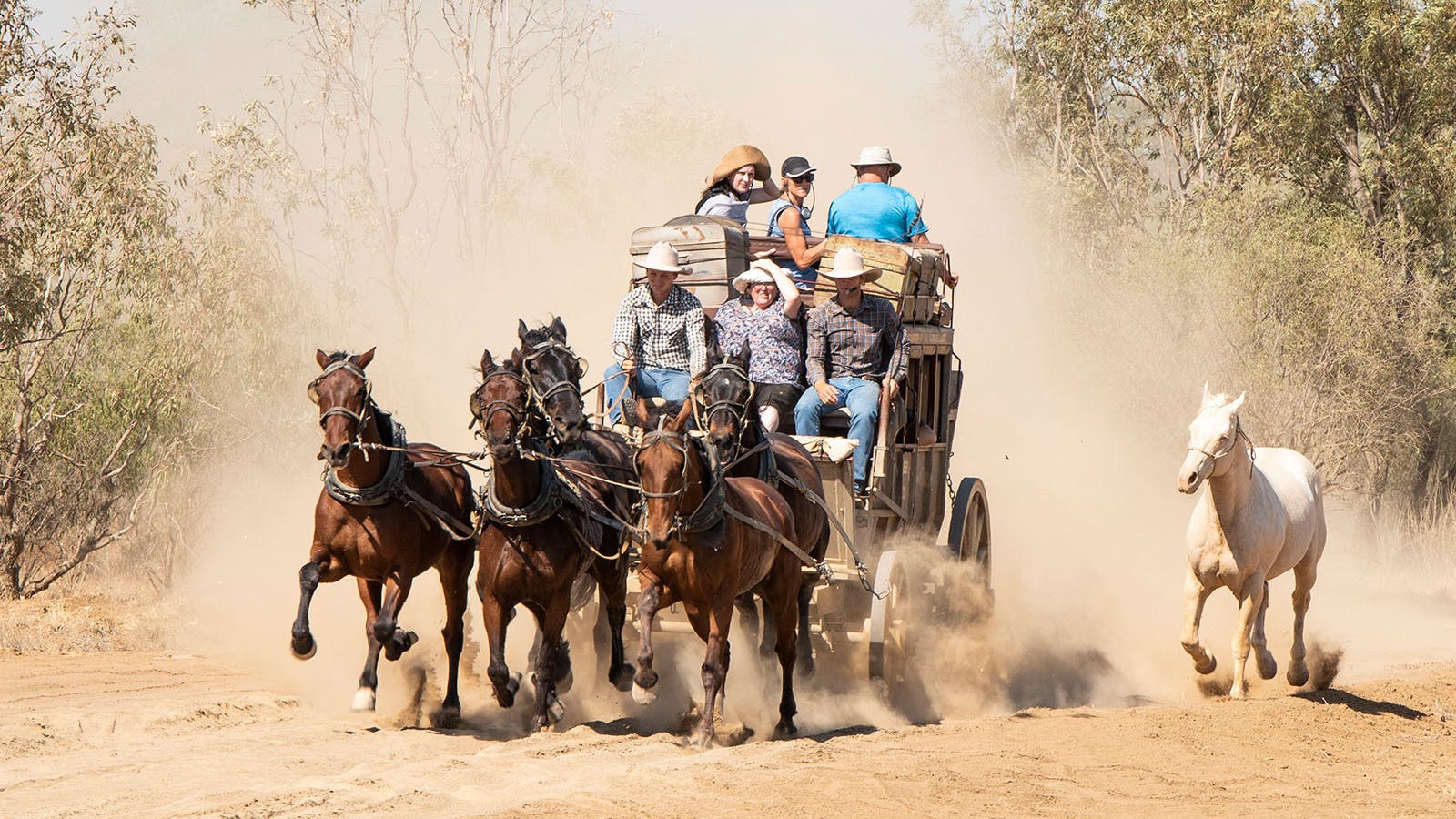 Cobb and Co Stagecoach galloping across the Longreach Common