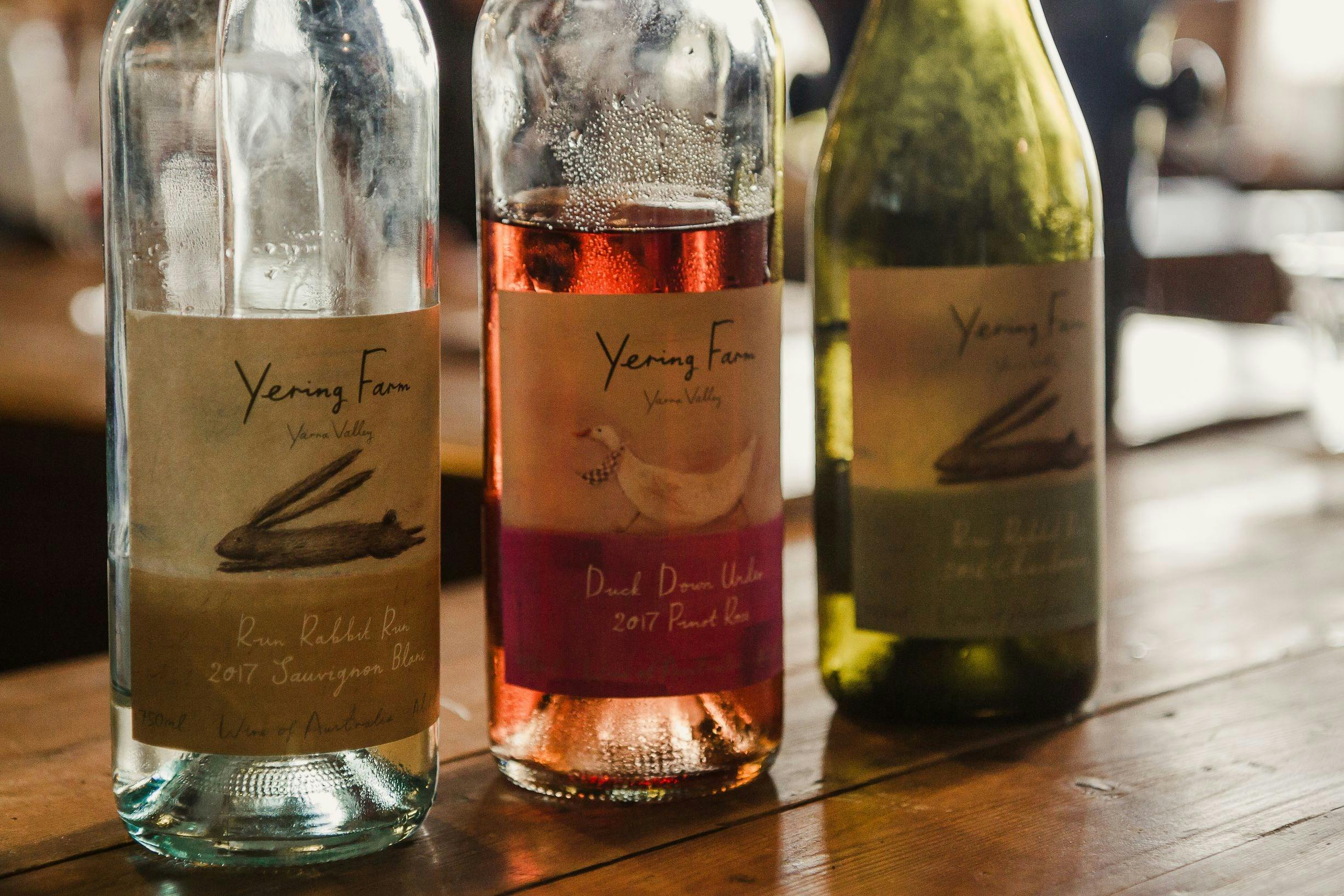 Yarra Valley Winery Tour wine tastings at Yering Farm winery