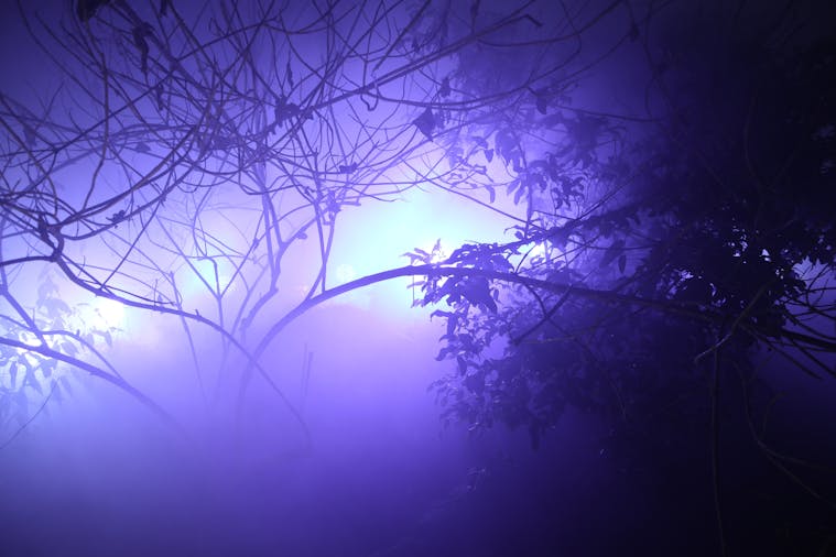Spooky Plant Tour