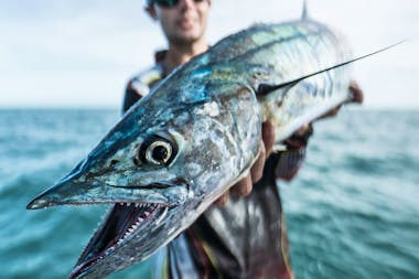 Yknot Fishing Charters