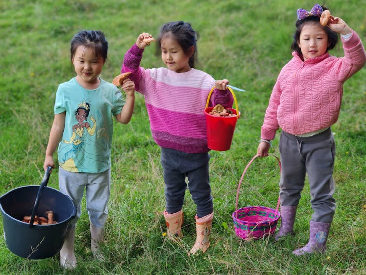 Three children standing on grass with baskets of wild mushorooms