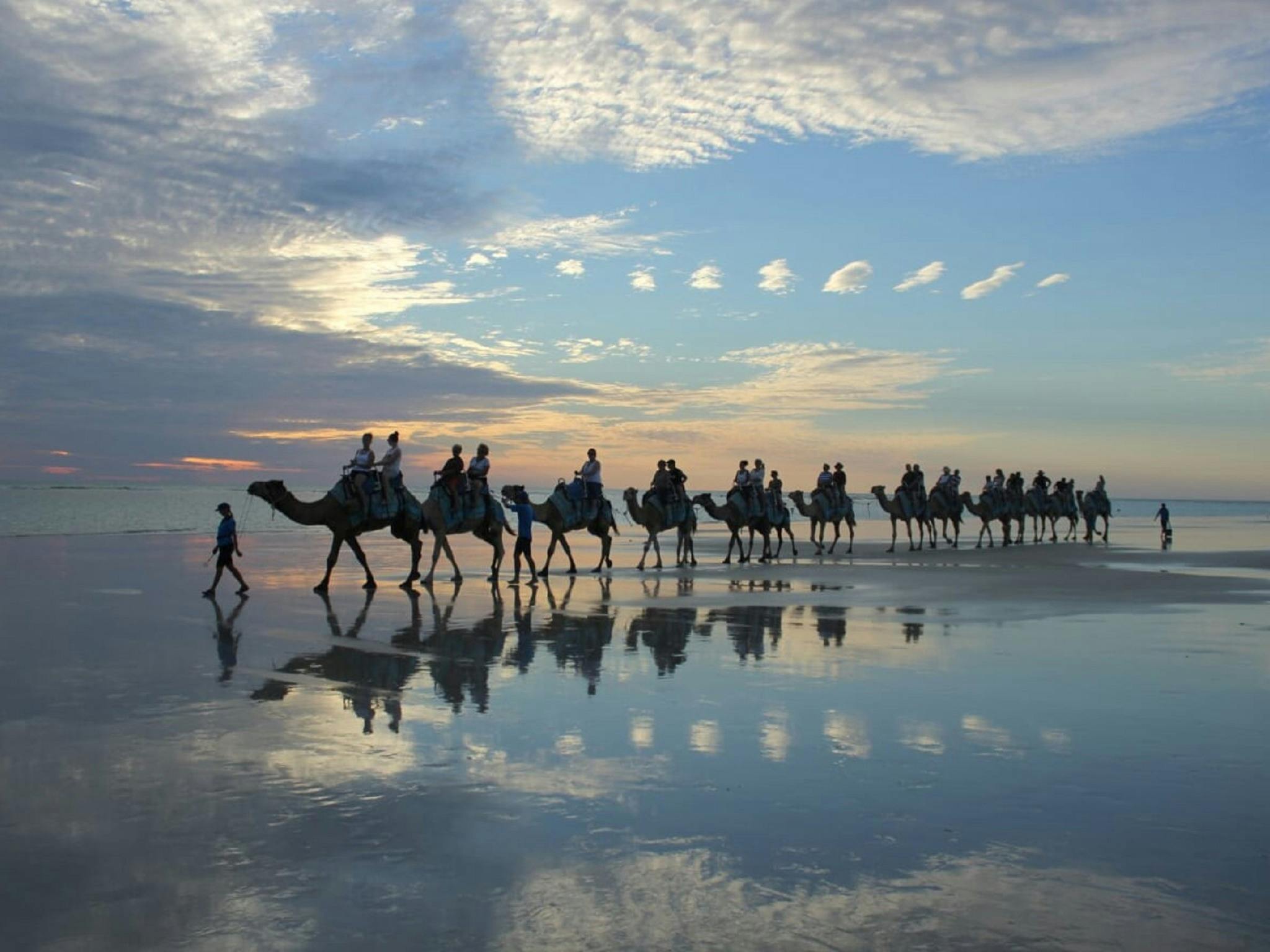 Camel Rides Tour Tourism Western Australia