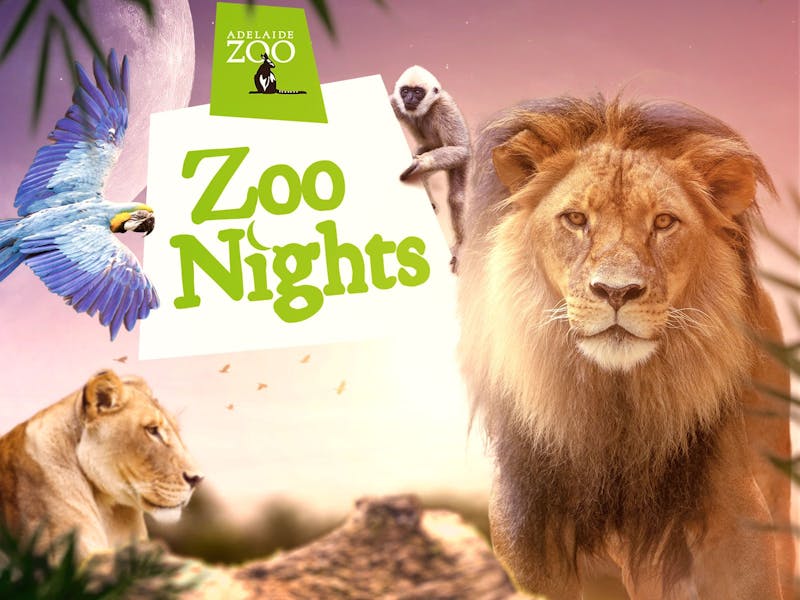 Image for Zoo Nights