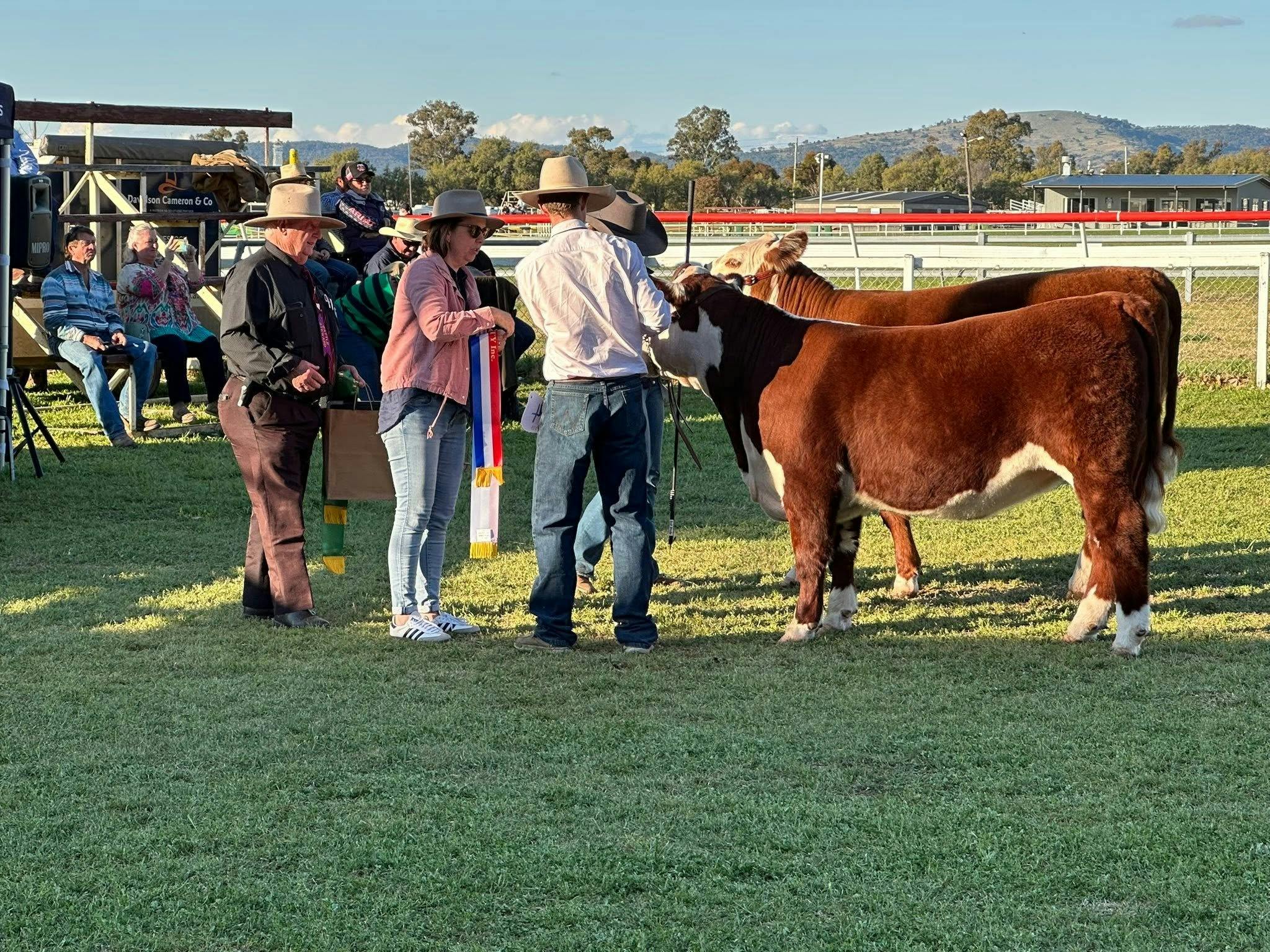 Quirindi Spring Show
