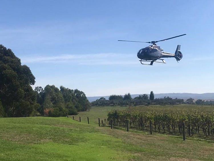 Helicopter winery lunch