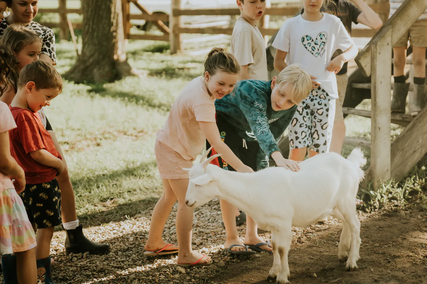 Join us in the animal sanctuary to feed and meet our rescued & adopted animals. Free with your stay