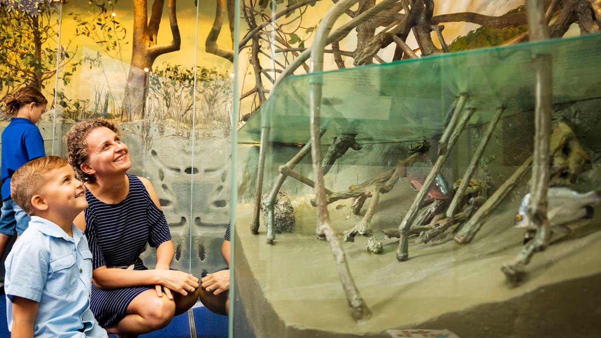 Museum of Tropical Queensland