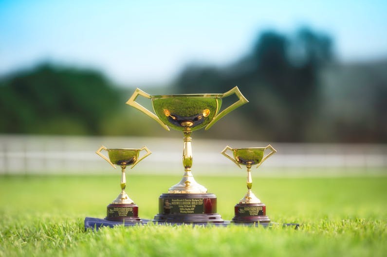Image of the event 'Muswellbrook Cup Day'