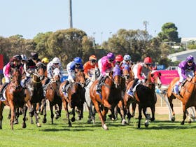 Winner of PL Cup Jockey: Rochelle Milnes - I Need A Drink - J.Dunn & K.Bishop