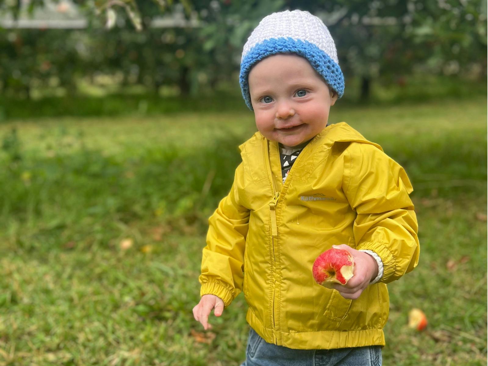 Hillside Harvest Fruit Picking