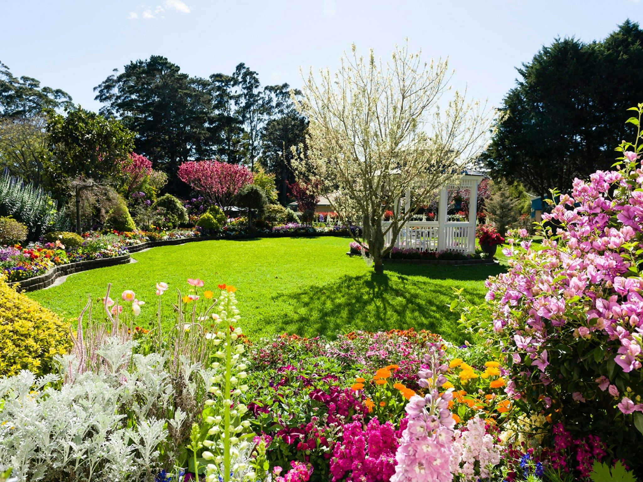 Private garden, Toowoomba