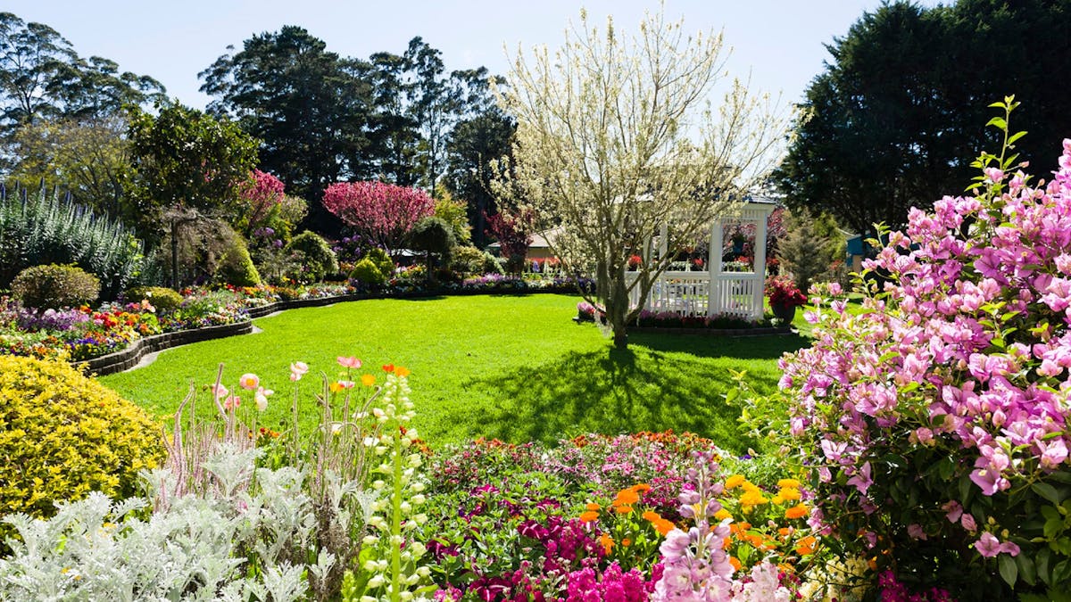 Private garden, Toowoomba