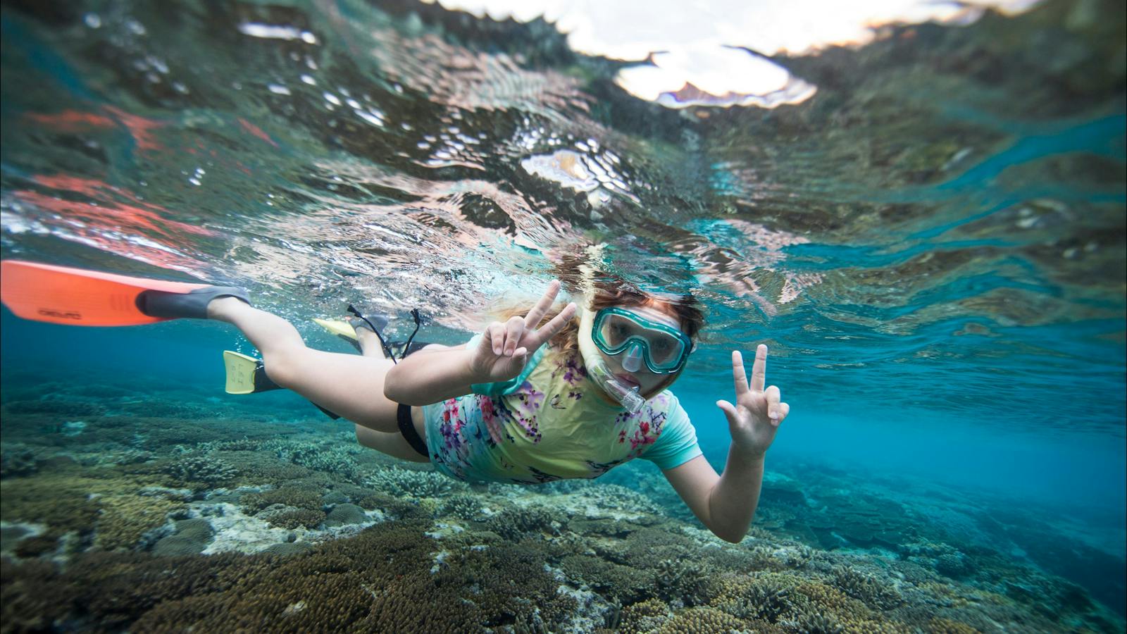 Snorkelling on Lady Elliot Island