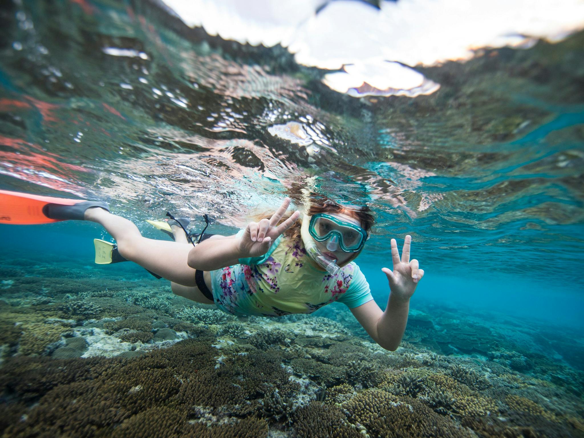 Snorkelling on Lady Elliot Island