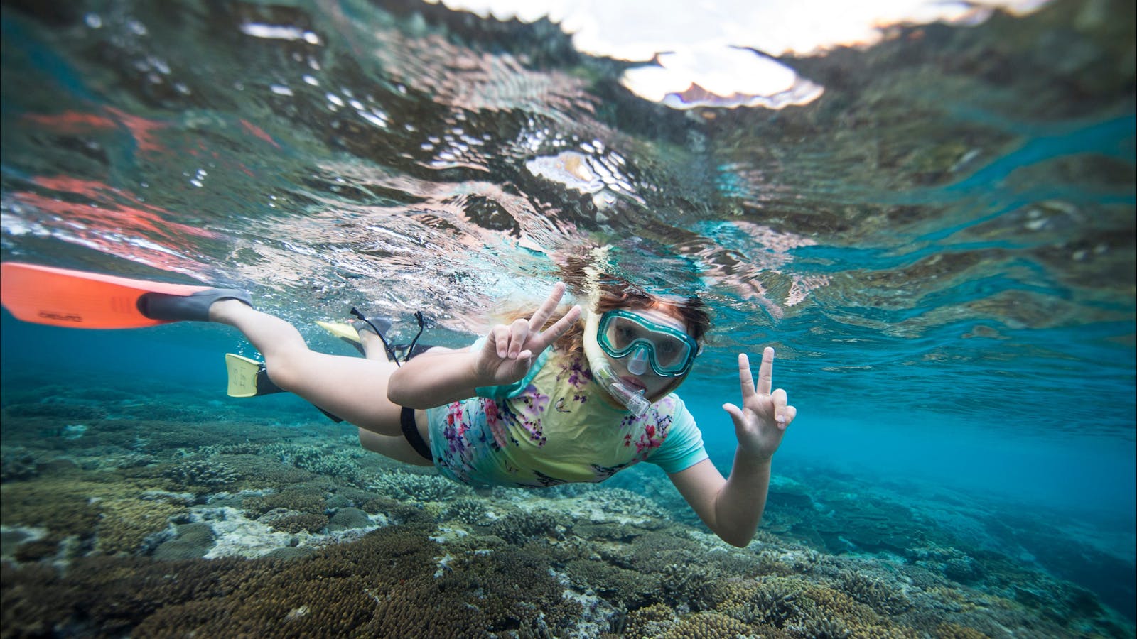 Day 2 - Lady Elliot Island