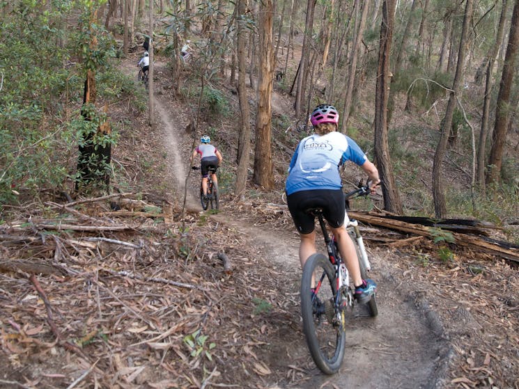 Family enjoying a day of riding on the 20km Bundadung Trail Network in Tathra