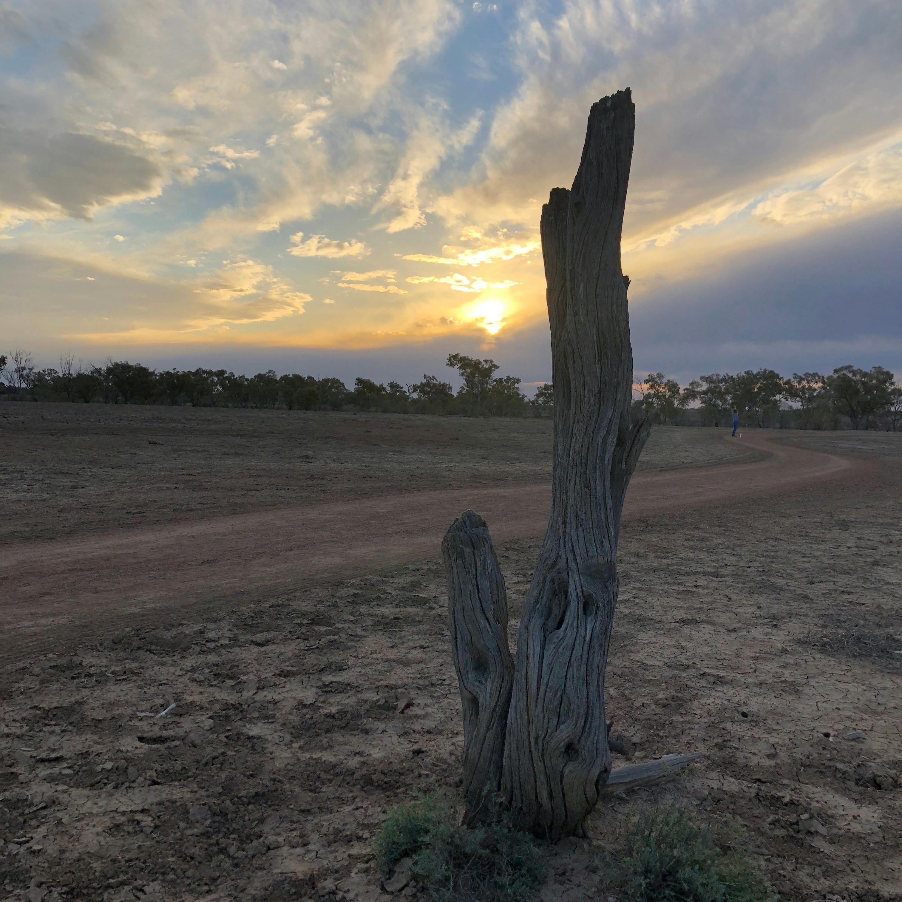 Cunnamulla River Walk, Outback Queensland