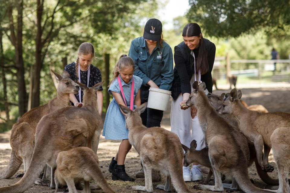 Wings Wildlife Park photo