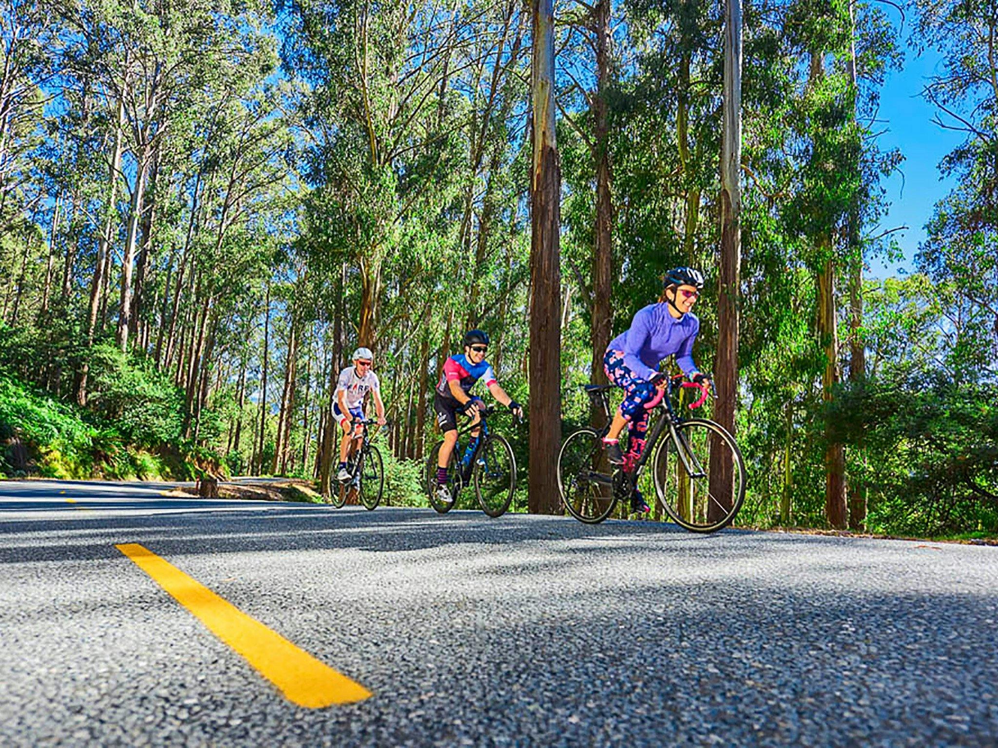 A group of three road cyclists up the Mt Buller Tourist Road