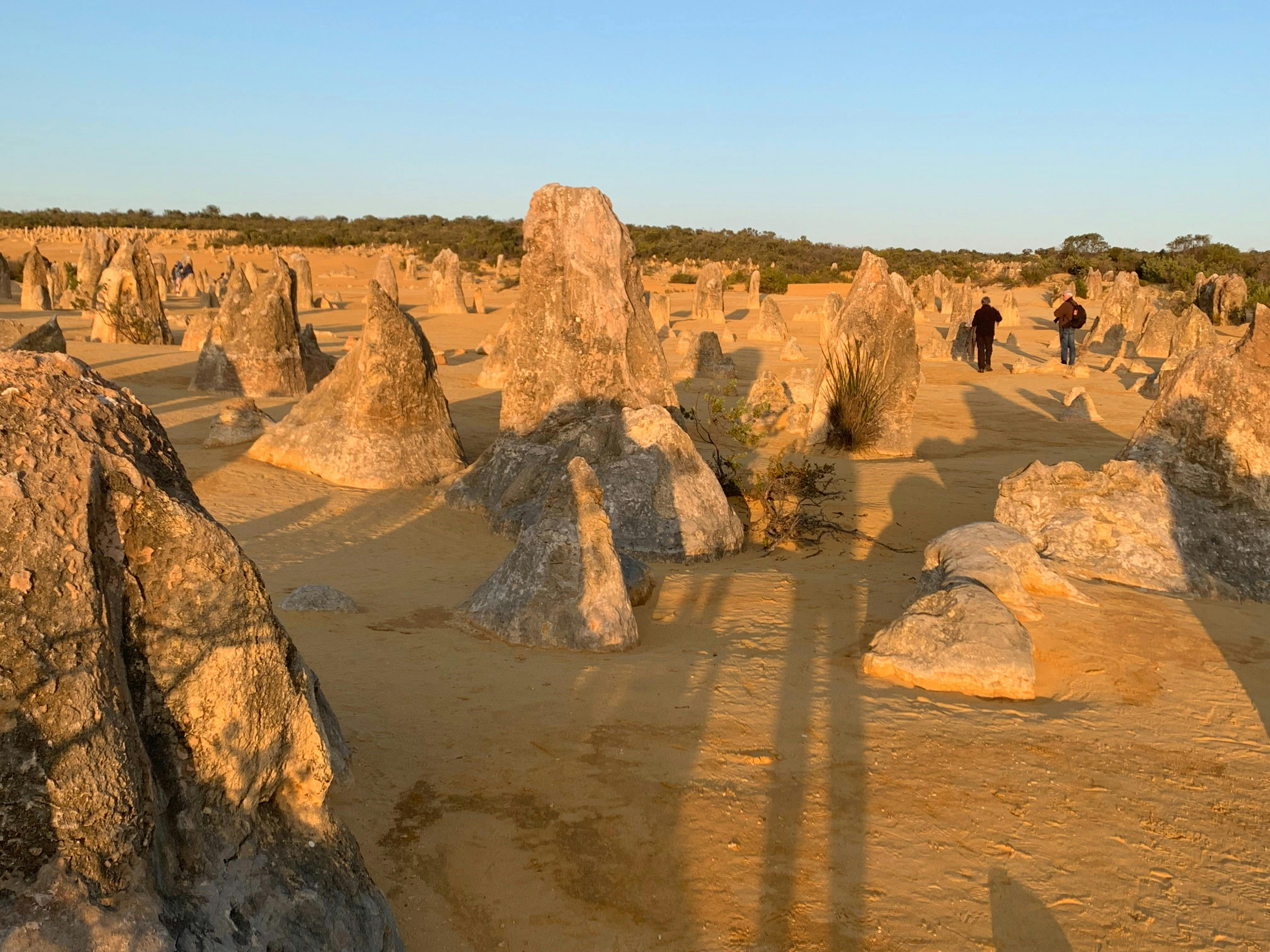 Sculptured limestone columns