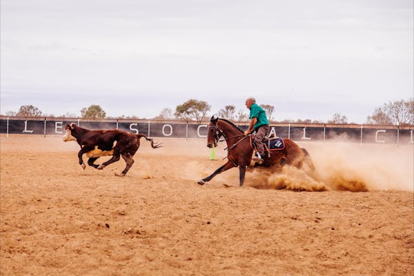 Birdsville Campdraft,  Rodeo and Bronco Branding