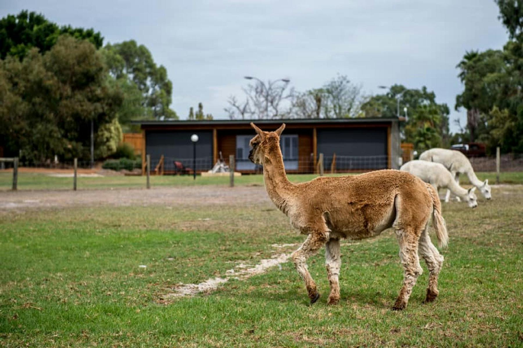 The Swan Valley Retreat