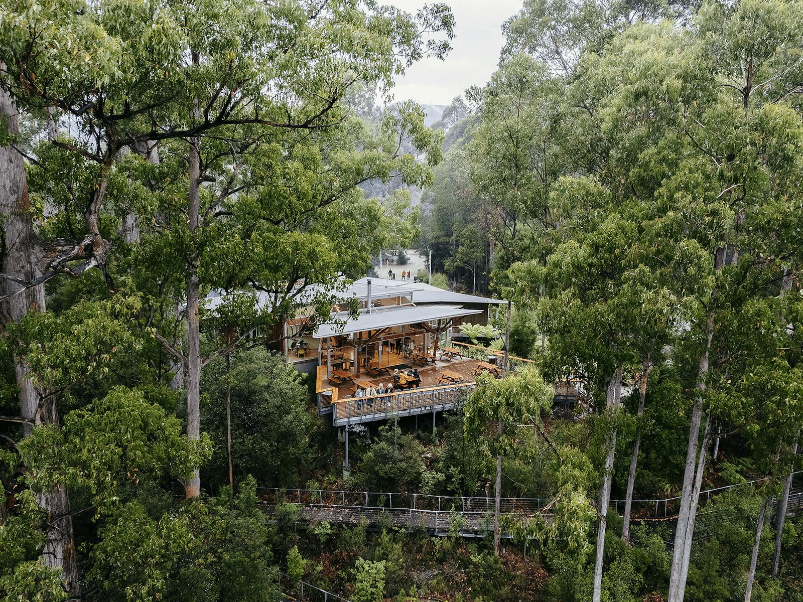 visitor centre cafe with seats on deck overlooking surrounding forest