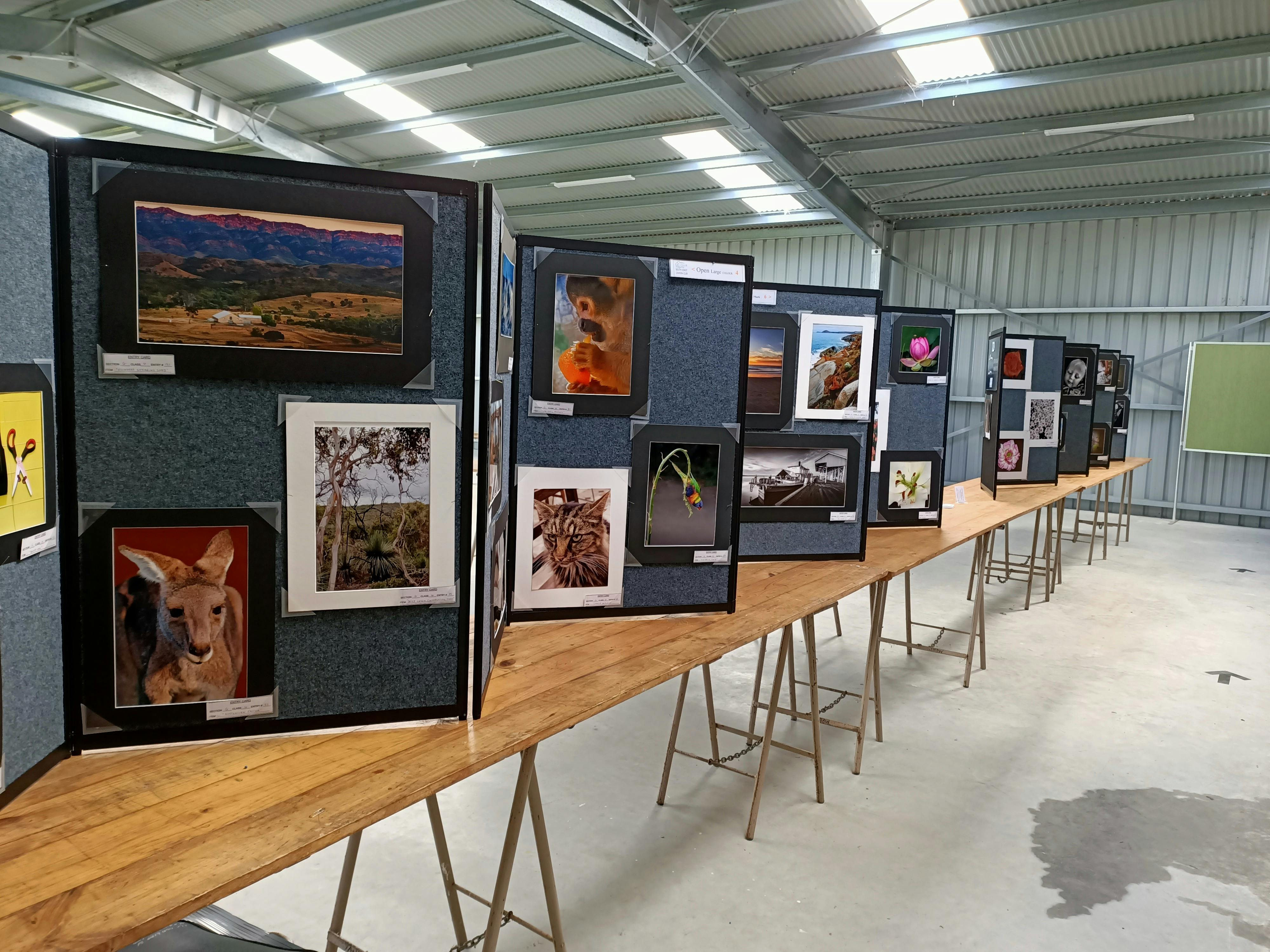 Display boards with Photography entries atop trestle tables in big shed.