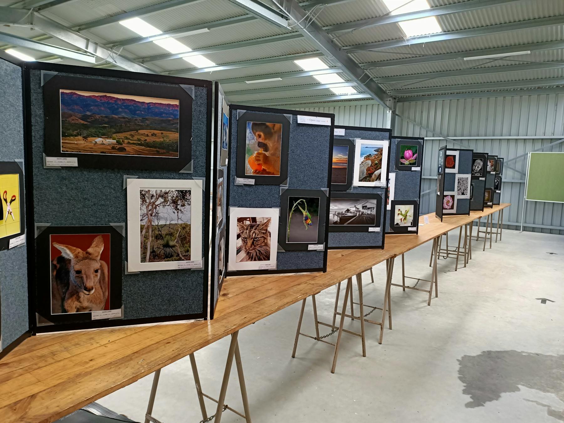 Display boards with Photography entries atop trestle tables in big shed.