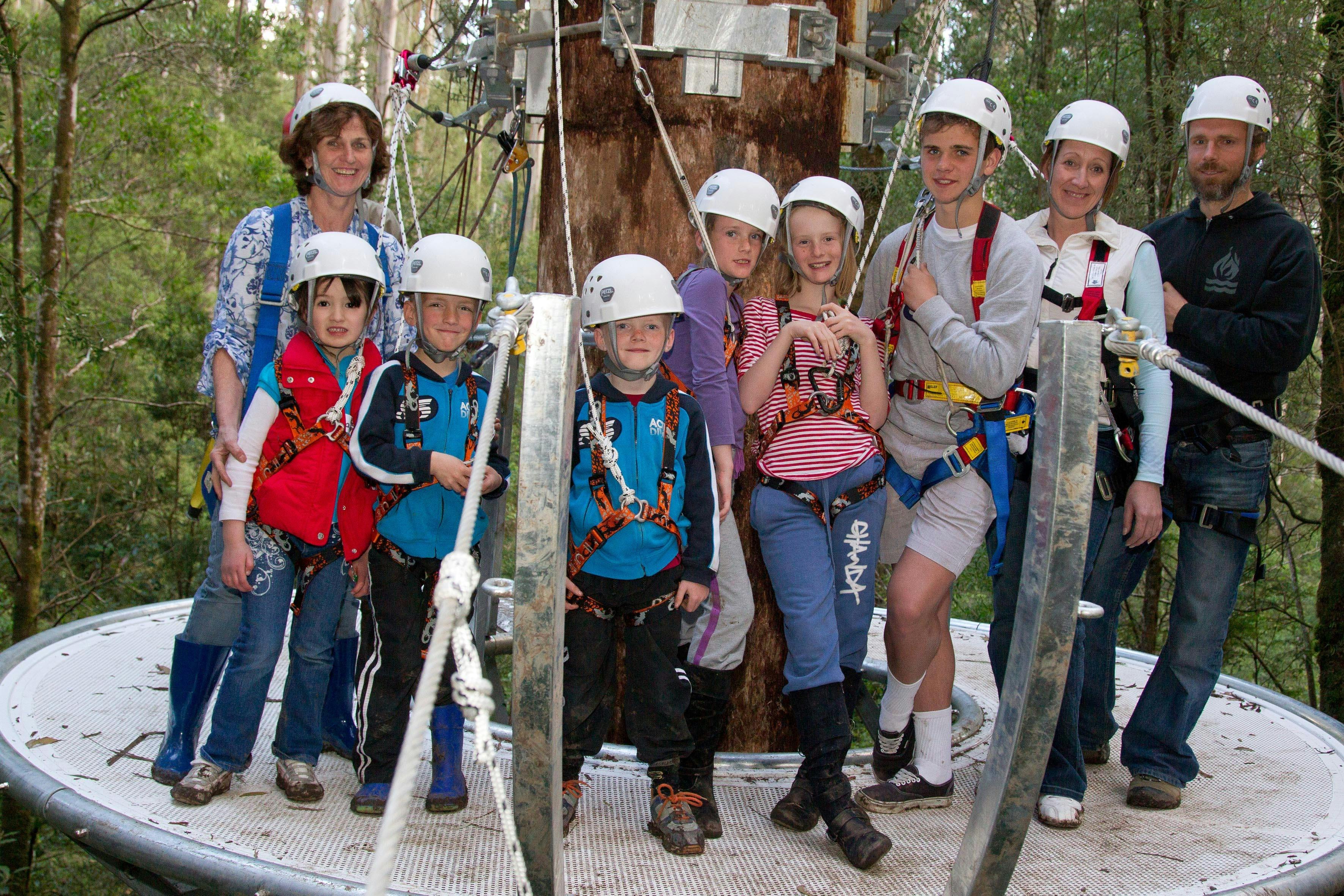The otway Fly Adventure